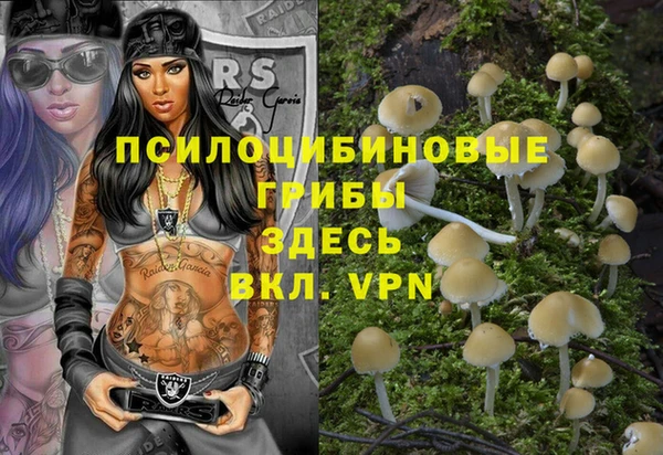 спайс Абинск