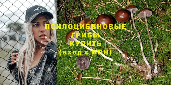 спайс Абинск