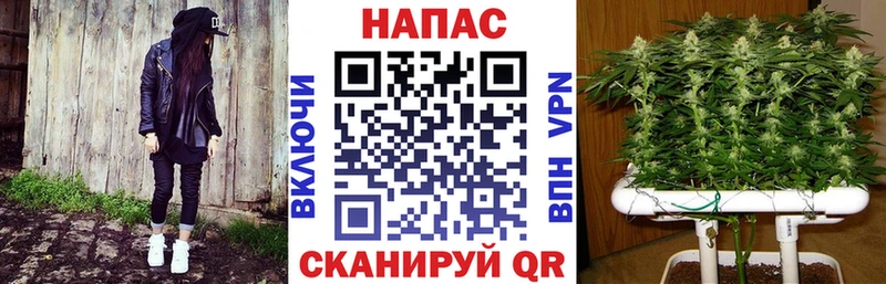 Канабис сатива  наркошоп  Углегорск 